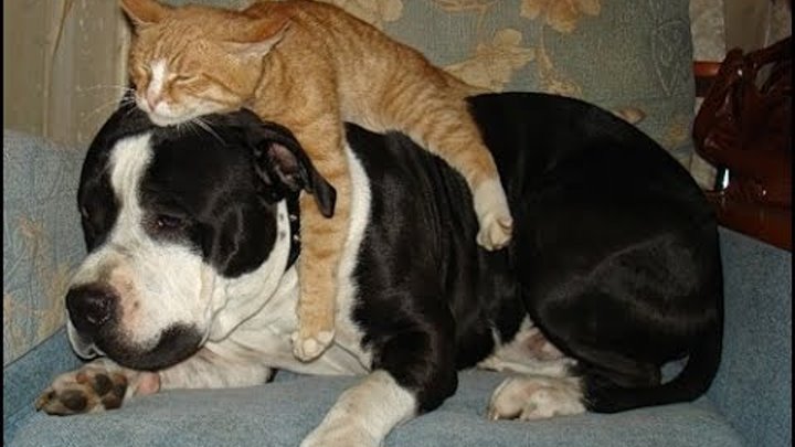 Давно не было фото Давно не было фото