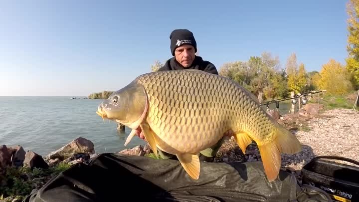 Карпфишинг на больших озерах Европы. Carpfishing big lakes in Europe ...