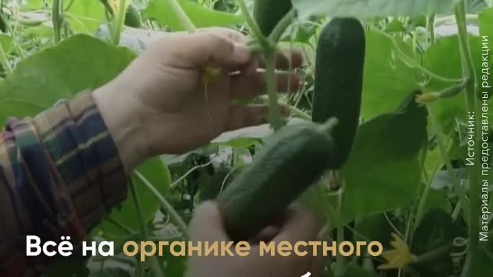 В РФ развивается пищевая промышленность