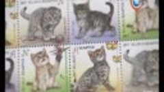 В Беларуси выпустили самые милые марки_СТВ
