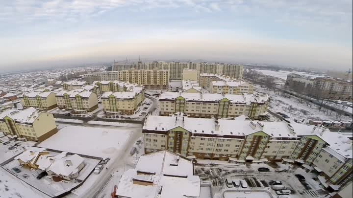 Політ джмеля над зимовим Львівським Маєтком 🐝❄⛄