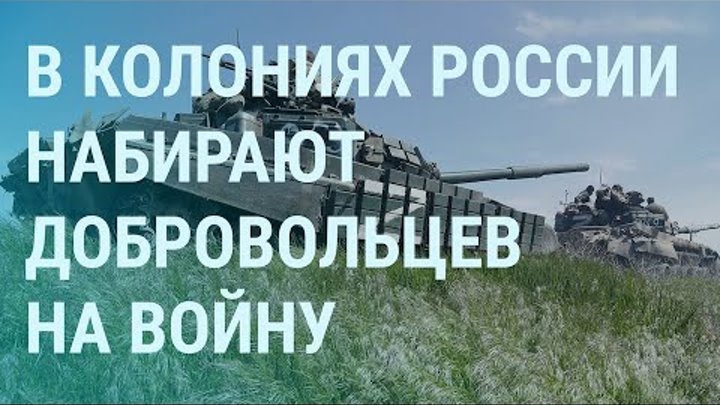 Сколько добровольцев набрали в россии в 2024