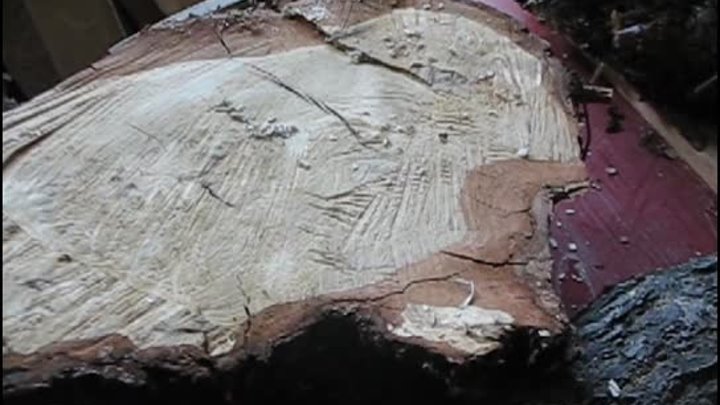 Кассетная сушилка древесины в Анжеро-Судженске.
