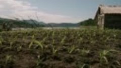 Corn.Island.2014.720p.WEB-DL.TR