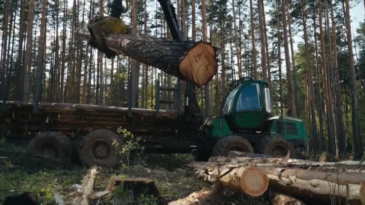 Производство Евровагонки / Как они это делают?