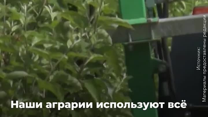 Активное развитие сельского хозяйства в России