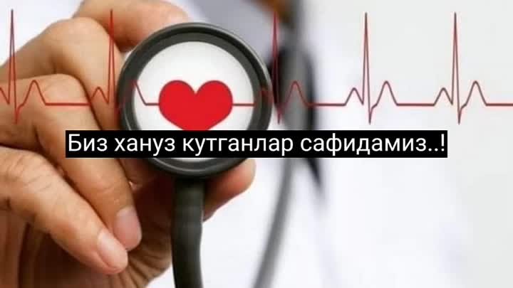 Шунака гаплар