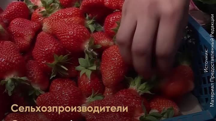 В РФ производители фруктов и ягод развиваются