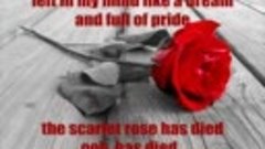 Edguy - Scarlet Rose
