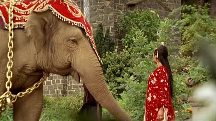 Слон и принцесса 2008. Алекс Уилсон принцесса слонов.
