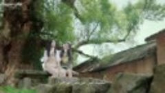 Jiajias Lovely Journey Episode 4.720p.HDTV.MyCima.world