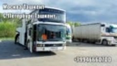 Москва Санкт-Петербург Ташкент автобус
