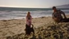 Danielle Steel - Biztos kikötő - Teljes filmek-POXtlfTRkAw