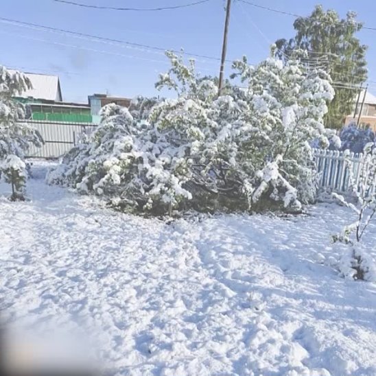 В области выпал снег. Снег в Томске. Снегопад в Томске. Снежныйипокров в Томске. Снежный Томск.