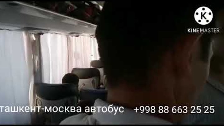 ташкент-москва автобус