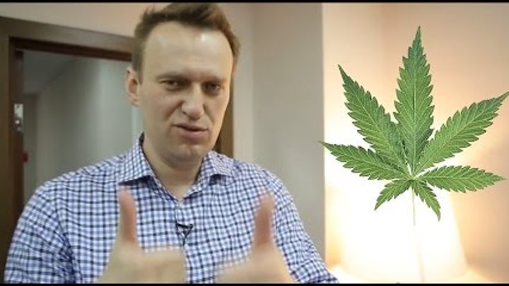 медведев о легализации марихуаны