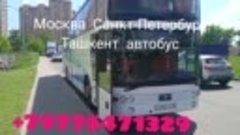 Москва Санкт-Петербург Ташкент  автобус хизмати