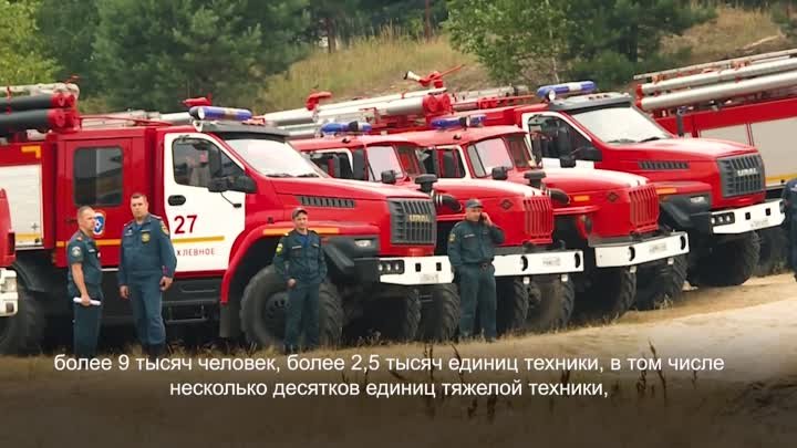 Лесные пожары в Рязанской области локализованы