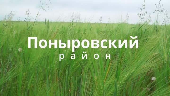 Геоглиф в Поныровском районе