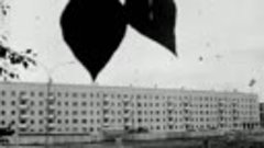 1974 год. Тюмень. Благоустройство  дворов новостроек на КПД
