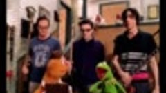 Weezer - Keep Fishin&#39; (Official Music VIdeo) ft. The Muppets