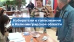 О выборах губернатора