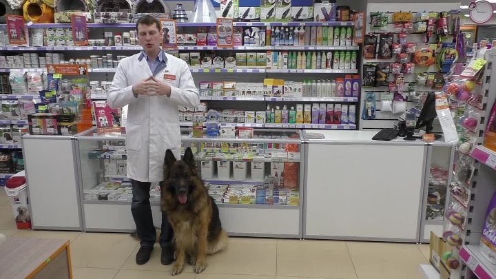 4 Лапы Электросталь Магазин