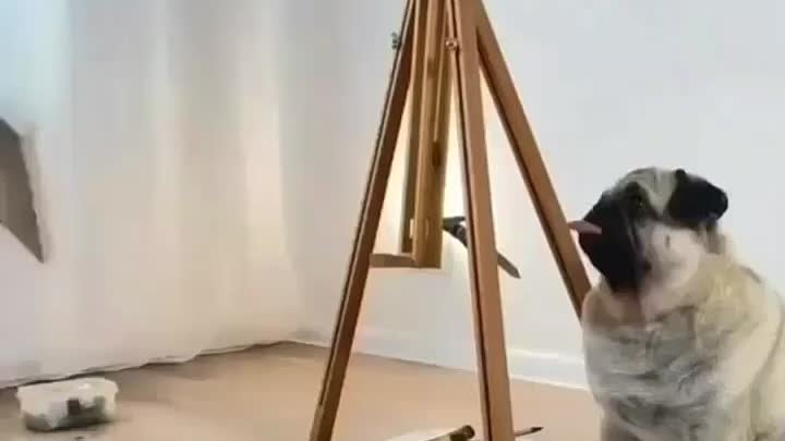 Собаки художники