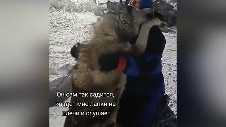 Вот такая любовь)))