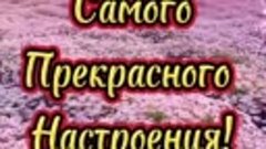 Счастья вам