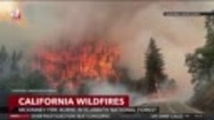 В Калифорнии бушуют пожары