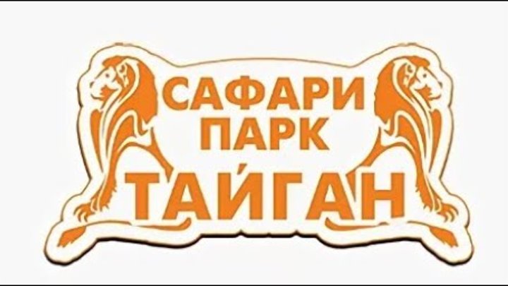 Тайган график работы январь 2025 Тайган график работы январь 2025