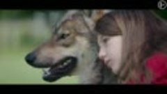 Мой волк _ Официальный трейлер _ В кино с 6 января 2022 (6+)