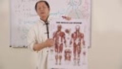 Understanding Qigong 1.2 - The Human Qi Circulatory System