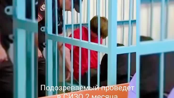 Подозреваемого в убийстве врача отправили на два месяца в СИЗО, видео
