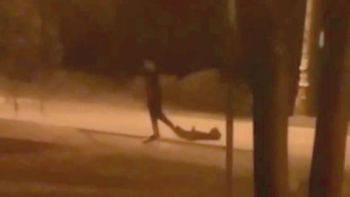 Избиение собаки в Подмосковье попало на видео
