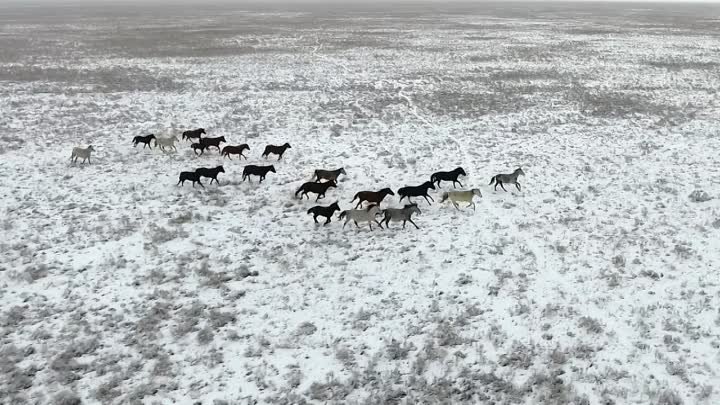 Пустыни Мира Казахстан 2016