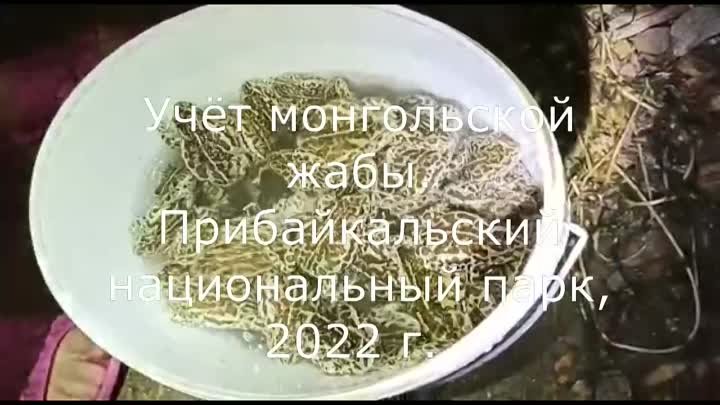 Видео от Заповедное Прибайкалье