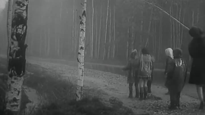 Художественный фильм "Наш дом"  (1965)