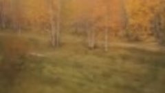 Осень в Сибири : из окна поезда



з окна поезда