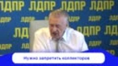 Тезис Жириновского: запретить коллекторов