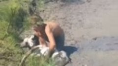 В Чечне мальчик спас увязших в болоте козлят