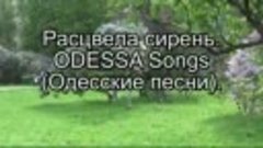 Расцвела сирень. ODESSA Songs (Одесские песни).