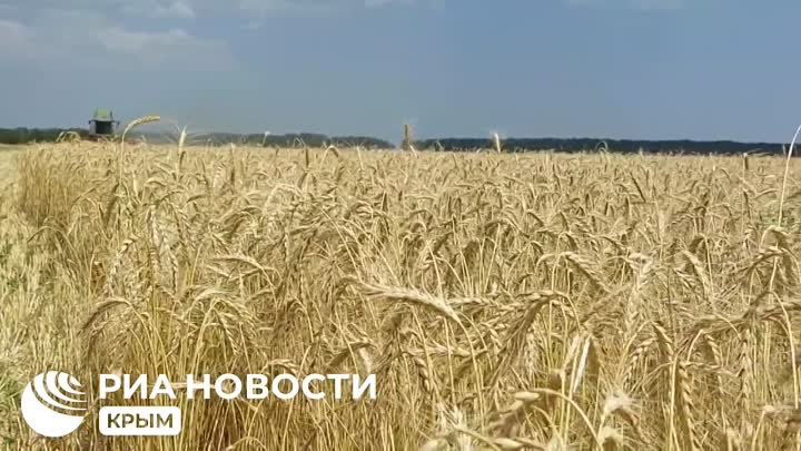 Видео РИА Новости Крым