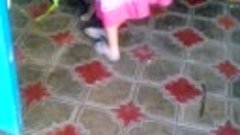 VID_20170613_170806