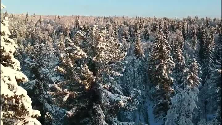 Сержант Василий _ Шуточная песня