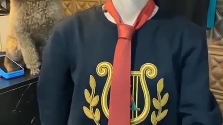 Как правильно и легко завязывать галстук