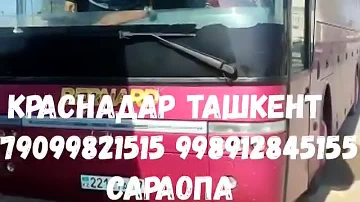 Краснадар Ташкент автобус +79099821515