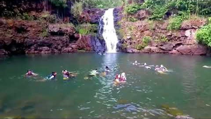 Waimea Falls Oahu Hawaii 2022