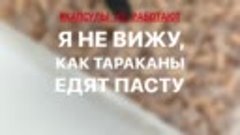 КАПСУЛЫ ОТ ТАРАКАНОВ